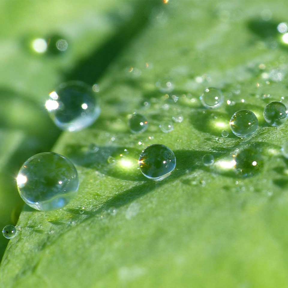 uniwater-ord-till-handling
